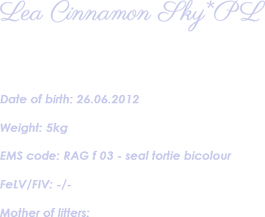 Lea Cinnamon Sky*PL Date of birth: 26.06.2012 Weight: 5kg EMS code: RAG f 03 - seal tortie bicolour FeLV/FIV: -/- Mother of litters: 