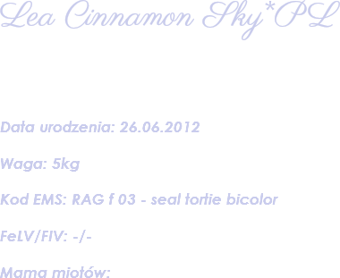 Lea Cinnamon Sky*PL Data urodzenia: 26.06.2012 Waga: 5kg Kod EMS: RAG f 03 - seal tortie bicolor FeLV/FIV: -/- Mama miotów: 