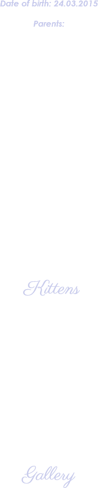 Date of birth: 24.03.2015 Parents: Kittens Gallery 