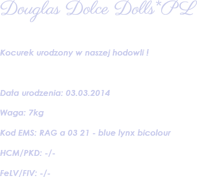 Douglas Dolce Dolls*PL Kocurek urodzony w naszej hodowli ! Data urodzenia: 03.03.2014 Waga: 7kg Kod EMS: RAG a 03 21 - blue lynx bicolour HCM/PKD: -/- FeLV/FIV: -/- 