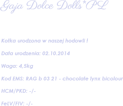 Gaja Dolce Dolls*PL Kotka urodzona w naszej hodowli ! Data urodzenia: 02.10.2014 Waga: 4,5kg Kod EMS: RAG b 03 21 - chocolate lynx bicolour HCM/PKD: -/- FeLV/FIV: -/- 