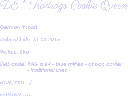DE * Tradrags Cookie Queen German import Date of birth: 31.03.2015 Weight: 6kg EMS code: RAG a 04 - blue mitted - choco carrier - traditional lines - HCM/PKD: -/- FeLV/FIV: -/- 