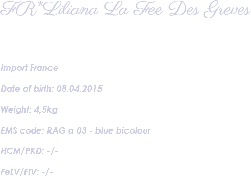 FR*Liliana La Fee Des Greves Import France Date of birth: 08.04.2015 Weight: 4,5kg EMS code: RAG a 03 - blue bicolour HCM/PKD: -/- FeLV/FIV: -/- 
