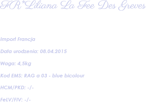 FR*Liliana La Fee Des Greves Import Francja Data urodzenia: 08.04.2015 Waga: 4,5kg Kod EMS: RAG a 03 - blue bicolour HCM/PKD: -/- FeLV/FIV: -/- 