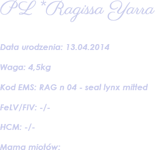 PL *Ragissa Yarra Data urodzenia: 13.04.2014 Waga: 4,5kg Kod EMS: RAG n 04 - seal lynx mitted FeLV/FIV: -/- HCM: -/- Mama miotów: 